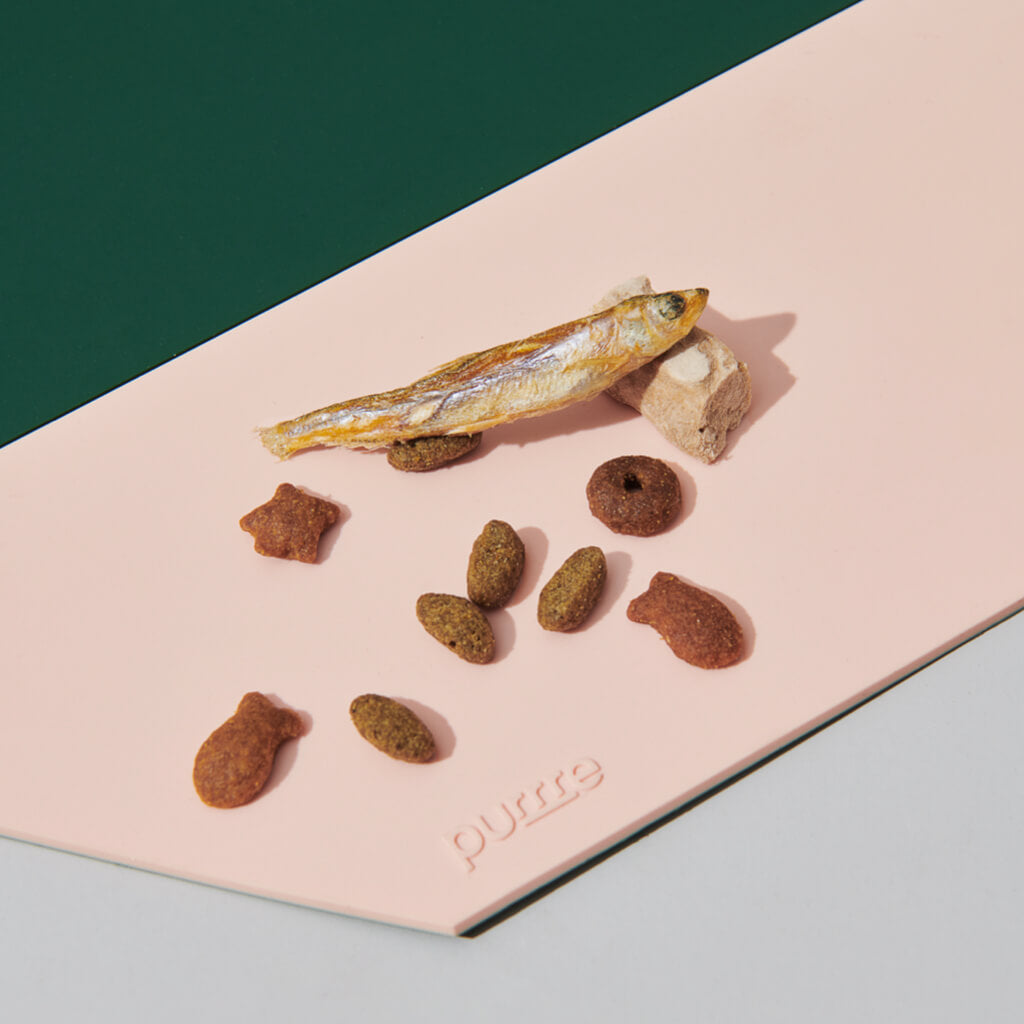 Close-up of pet food on the Chroma Party Pet Dining Mat - #Power Green.